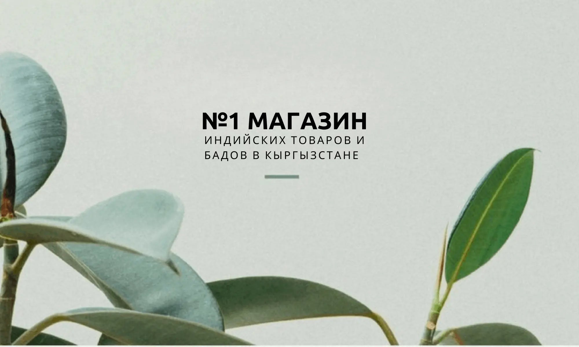 Витамины, БАДы, Эко Продукция, Косметика, Благовония Бишкек