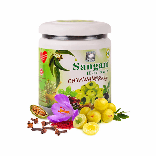 Чаванпраш Сангам Хербалс (Chyawanprash Sangam Herbals), 500 гр - Izindii.kg